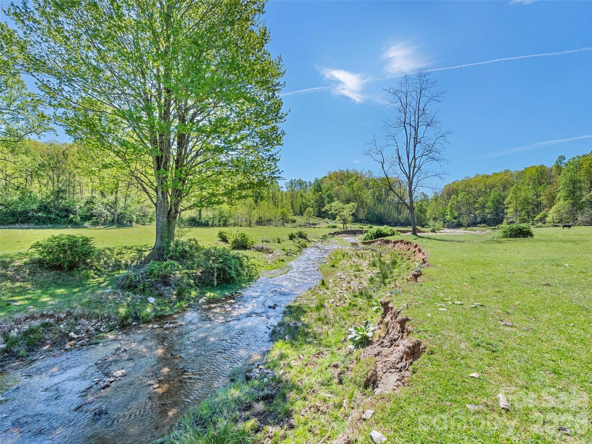 1372 Sand Branch Road Black Mountain NC 28711