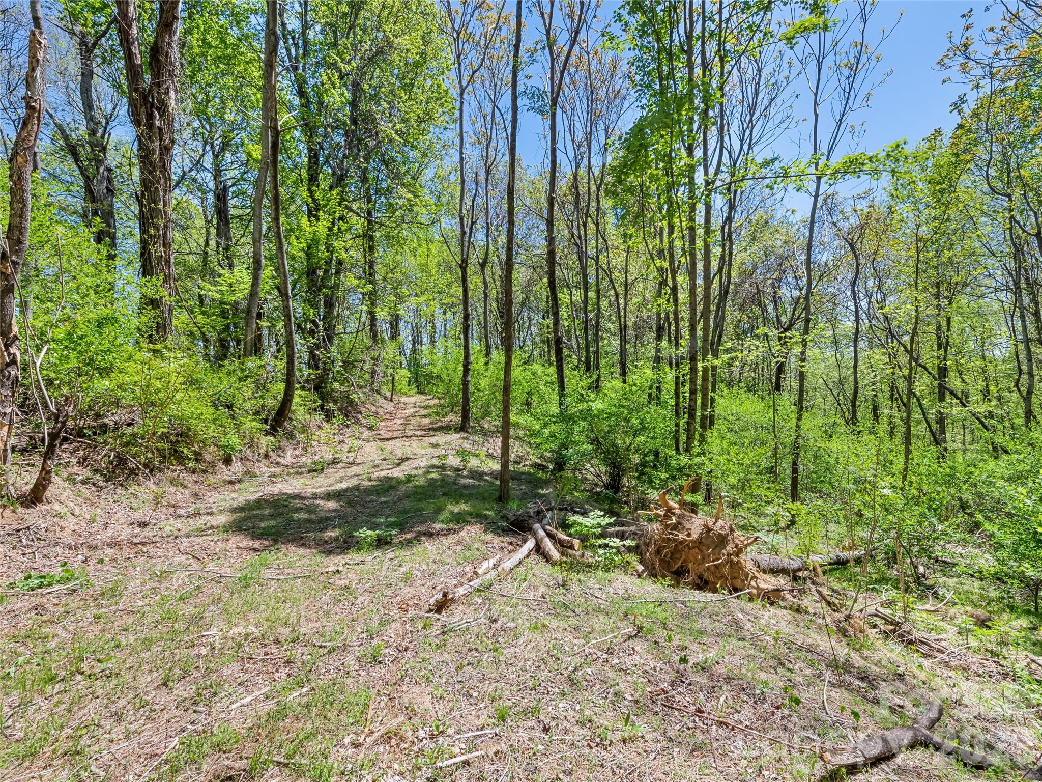 1372 Sand Branch Road Black Mountain NC 28711