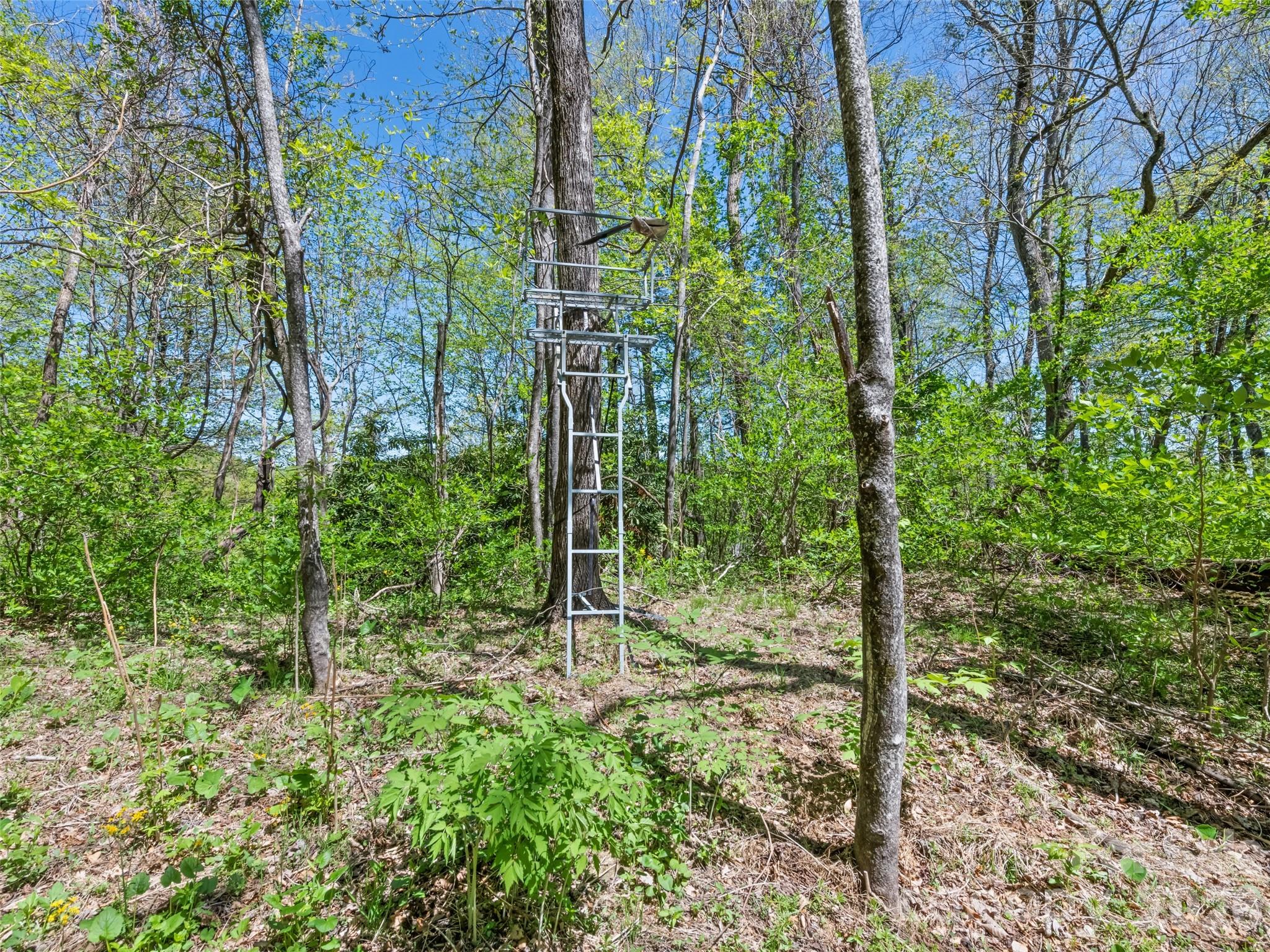 1372 Sand Branch Road Black Mountain NC 28711