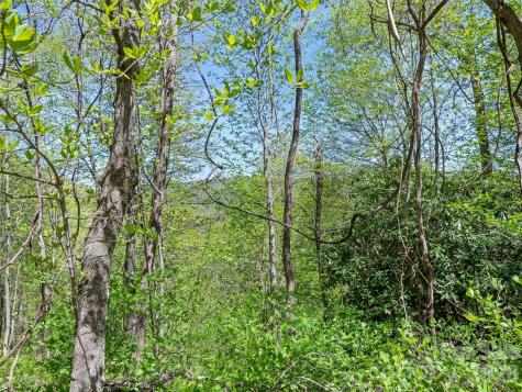 1372 Sand Branch Road Black Mountain NC 28711
