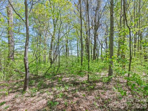 1372 Sand Branch Road Black Mountain NC 28711