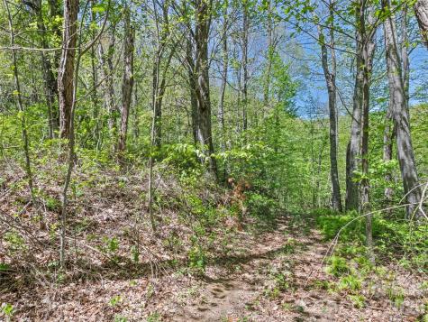 1372 Sand Branch Road Black Mountain NC 28711