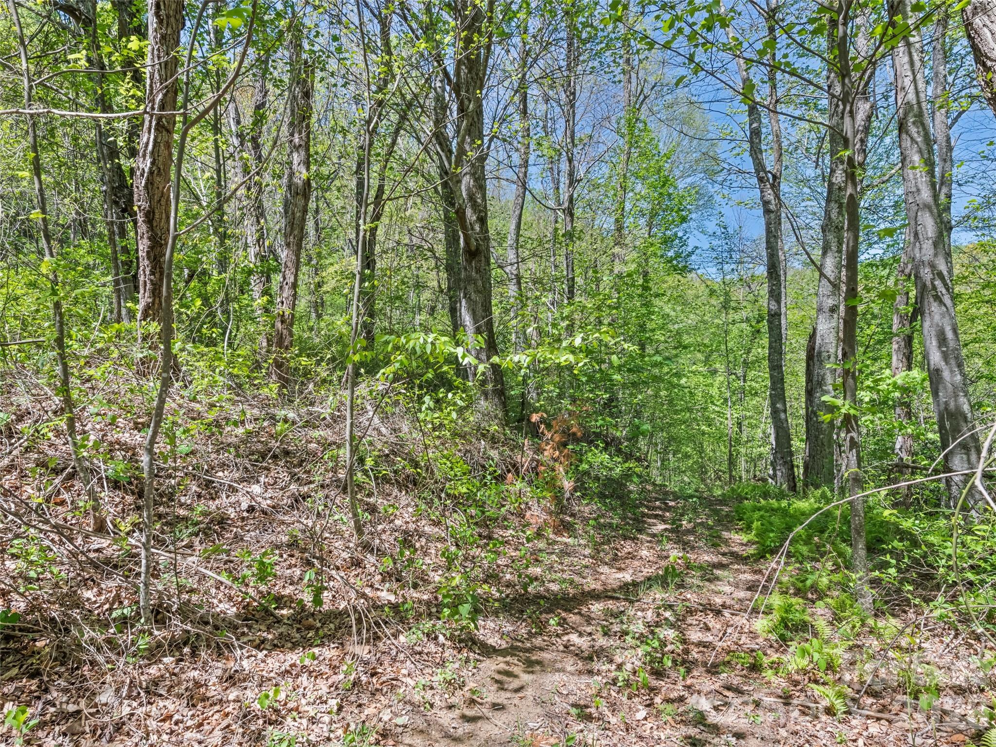 1372 Sand Branch Road Black Mountain NC 28711