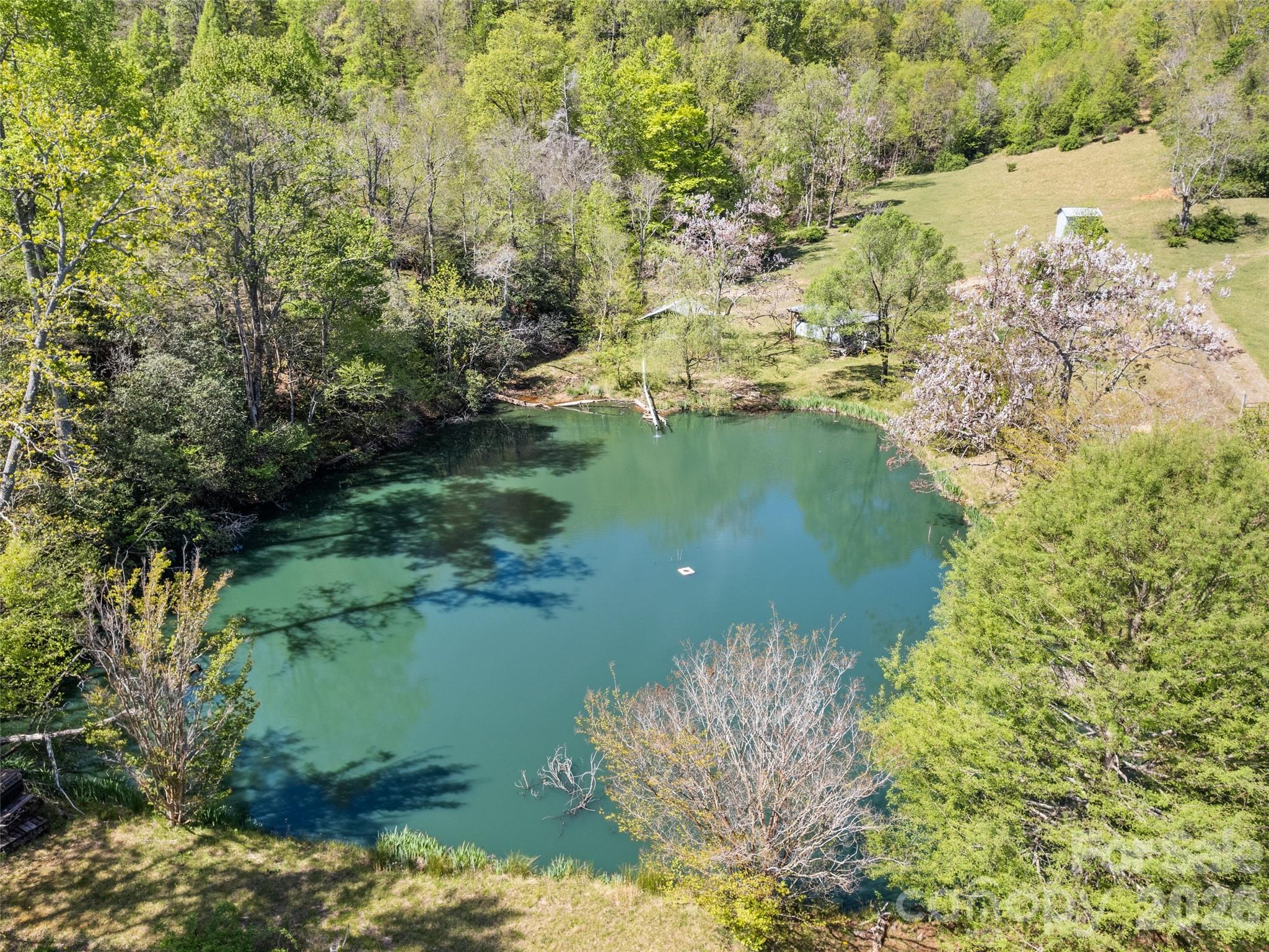 1372 Sand Branch Road Black Mountain NC 28711