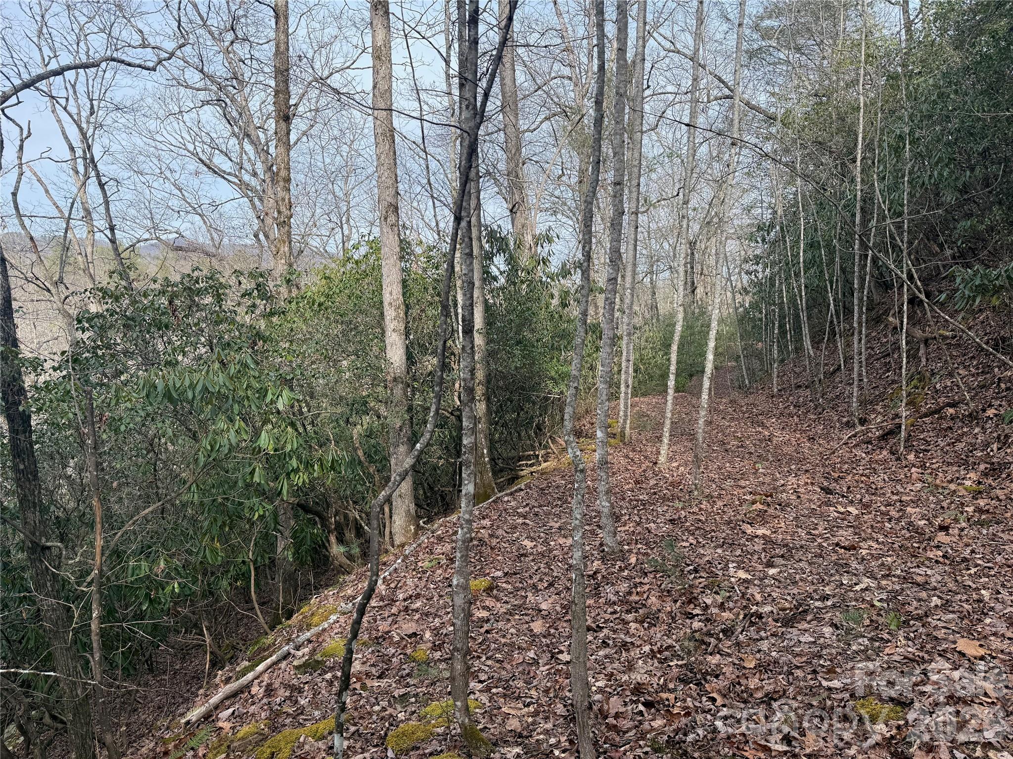 Lot 10, 11 River Run Franklin NC 28734