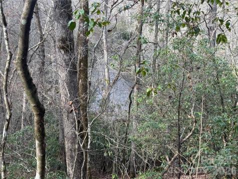 Lot 10, 11 River Run Franklin NC 28734