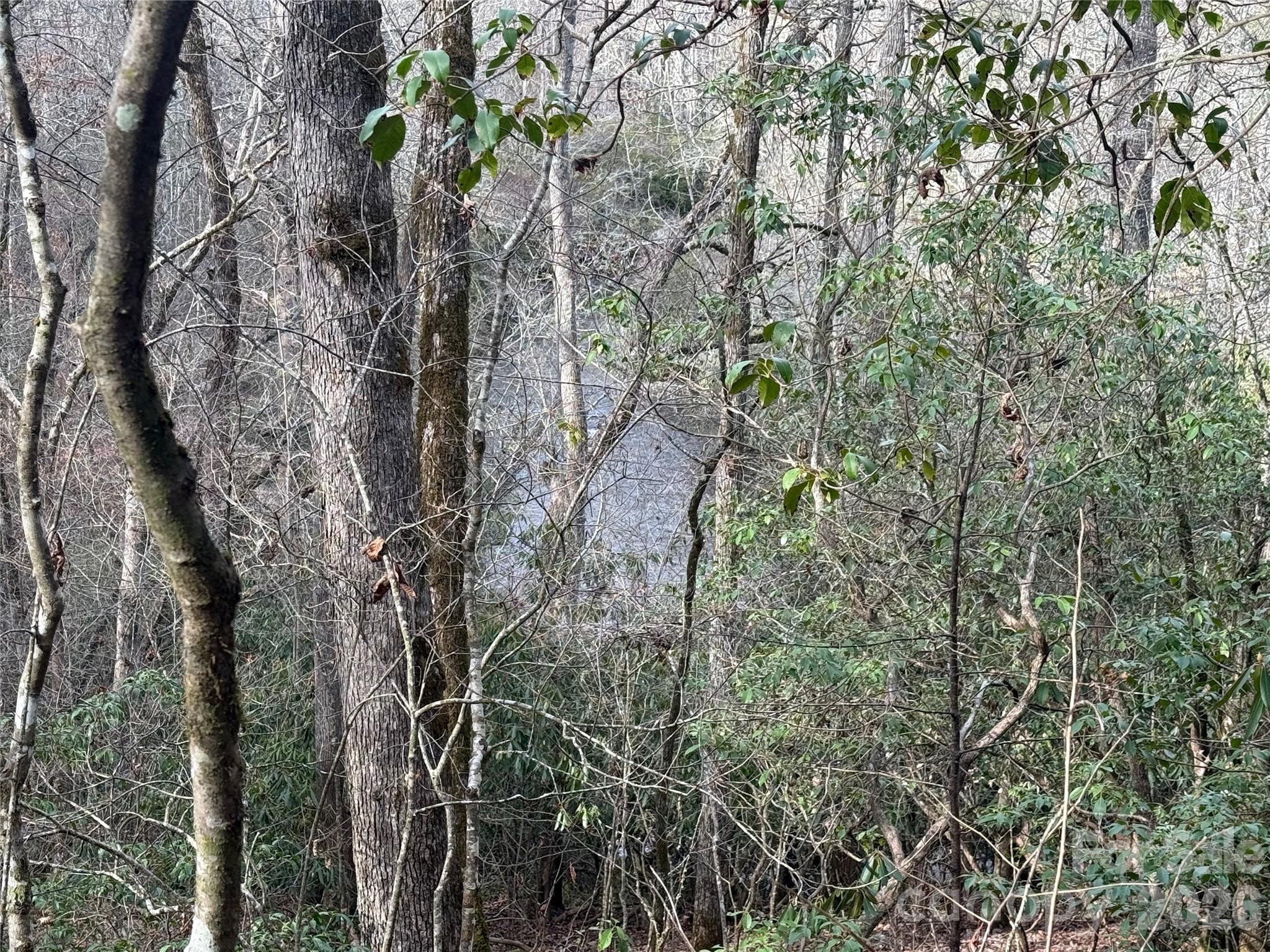 Lot 10, 11 River Run Franklin NC 28734