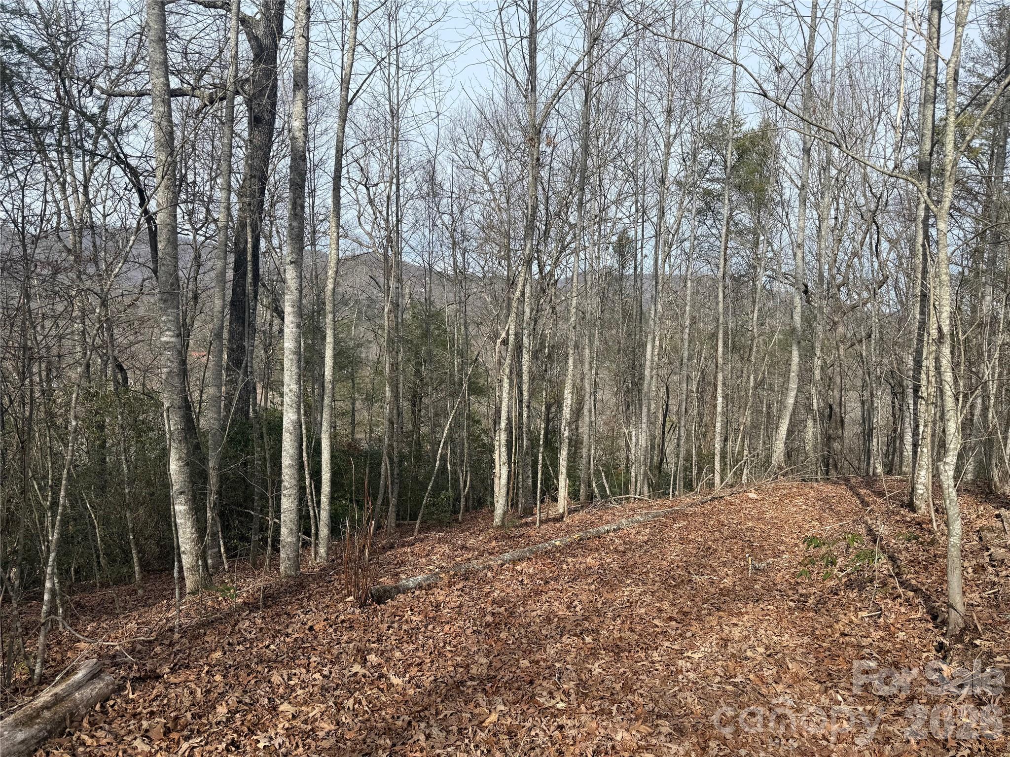 Lot 10, 11 River Run Franklin NC 28734
