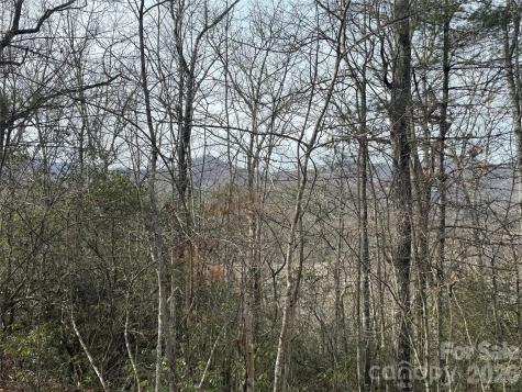 Lot 10, 11 River Run Franklin NC 28734