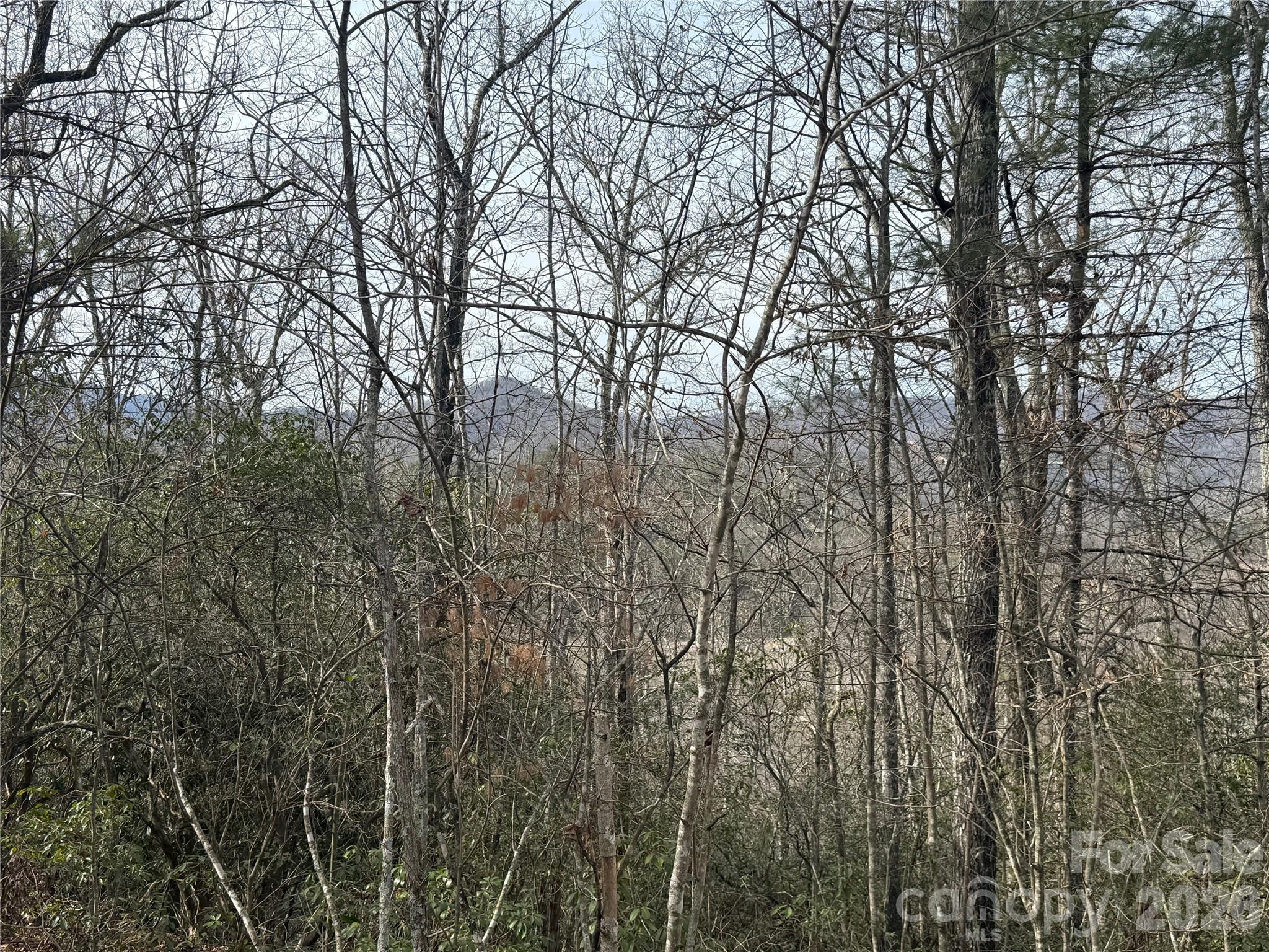 Lot 10, 11 River Run Franklin NC 28734