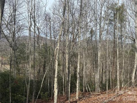 Lot 10, 11 River Run Franklin NC 28734