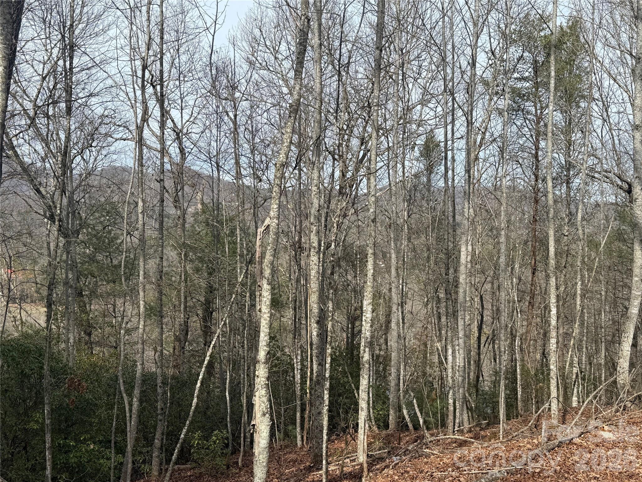 Lot 10, 11 River Run Franklin NC 28734