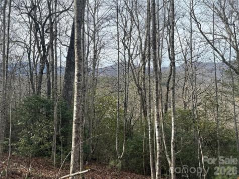 Lot 10, 11 River Run Franklin NC 28734