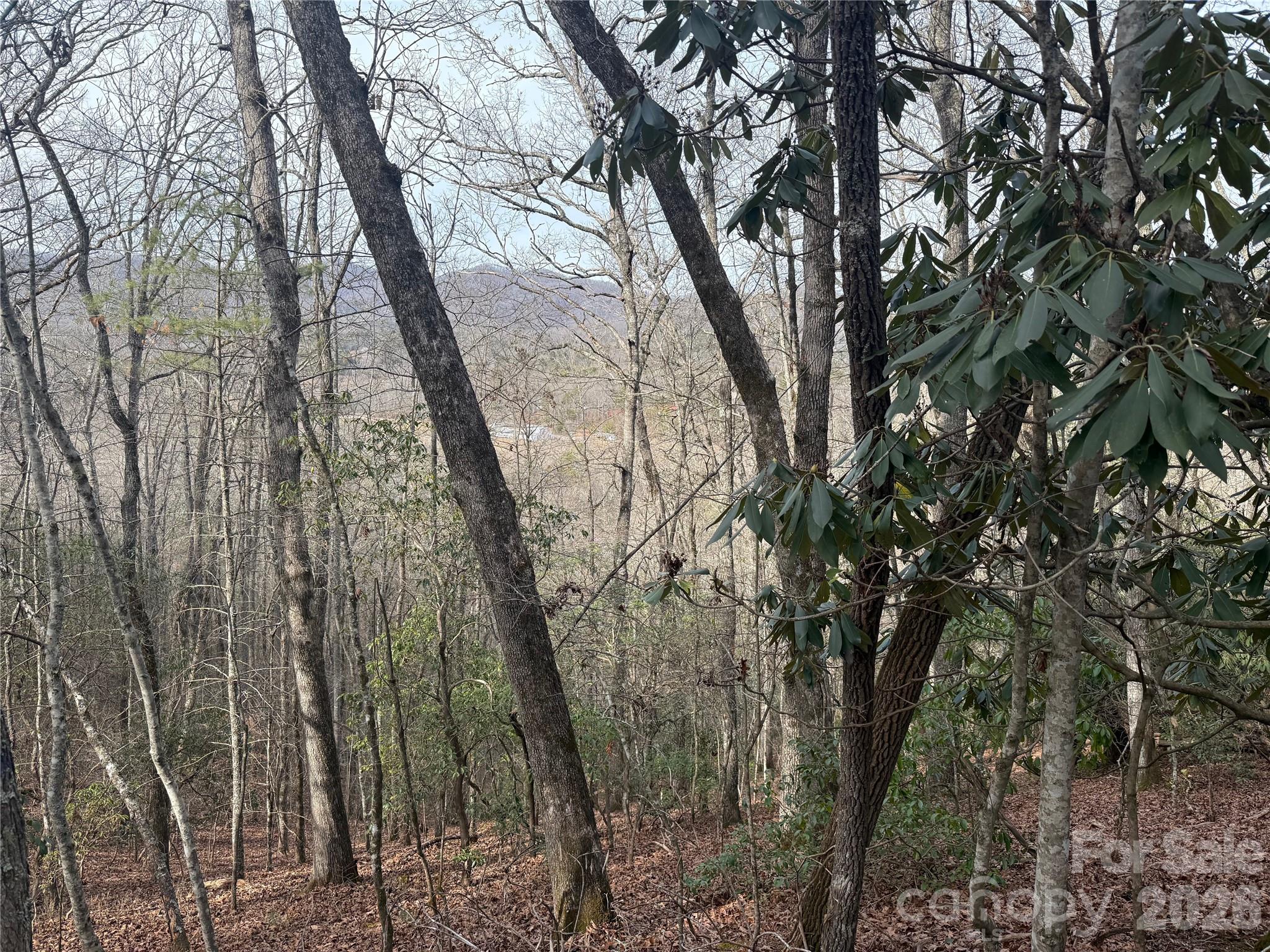 Lot 10, 11 River Run Franklin NC 28734