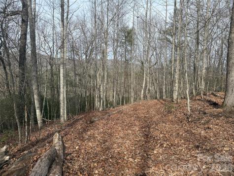 Lot 10, 11 River Run Franklin NC 28734