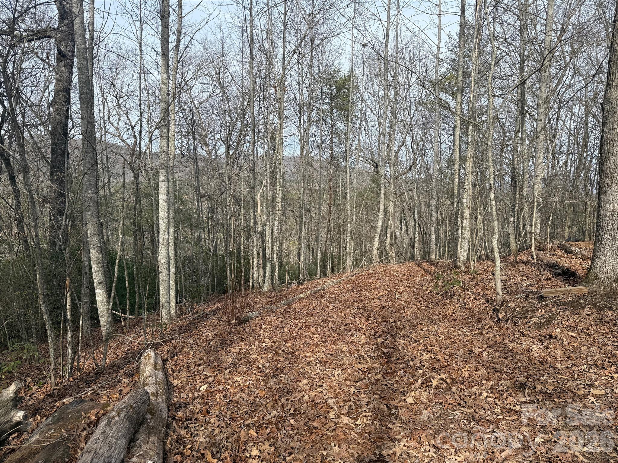 Lot 10, 11 River Run Franklin NC 28734