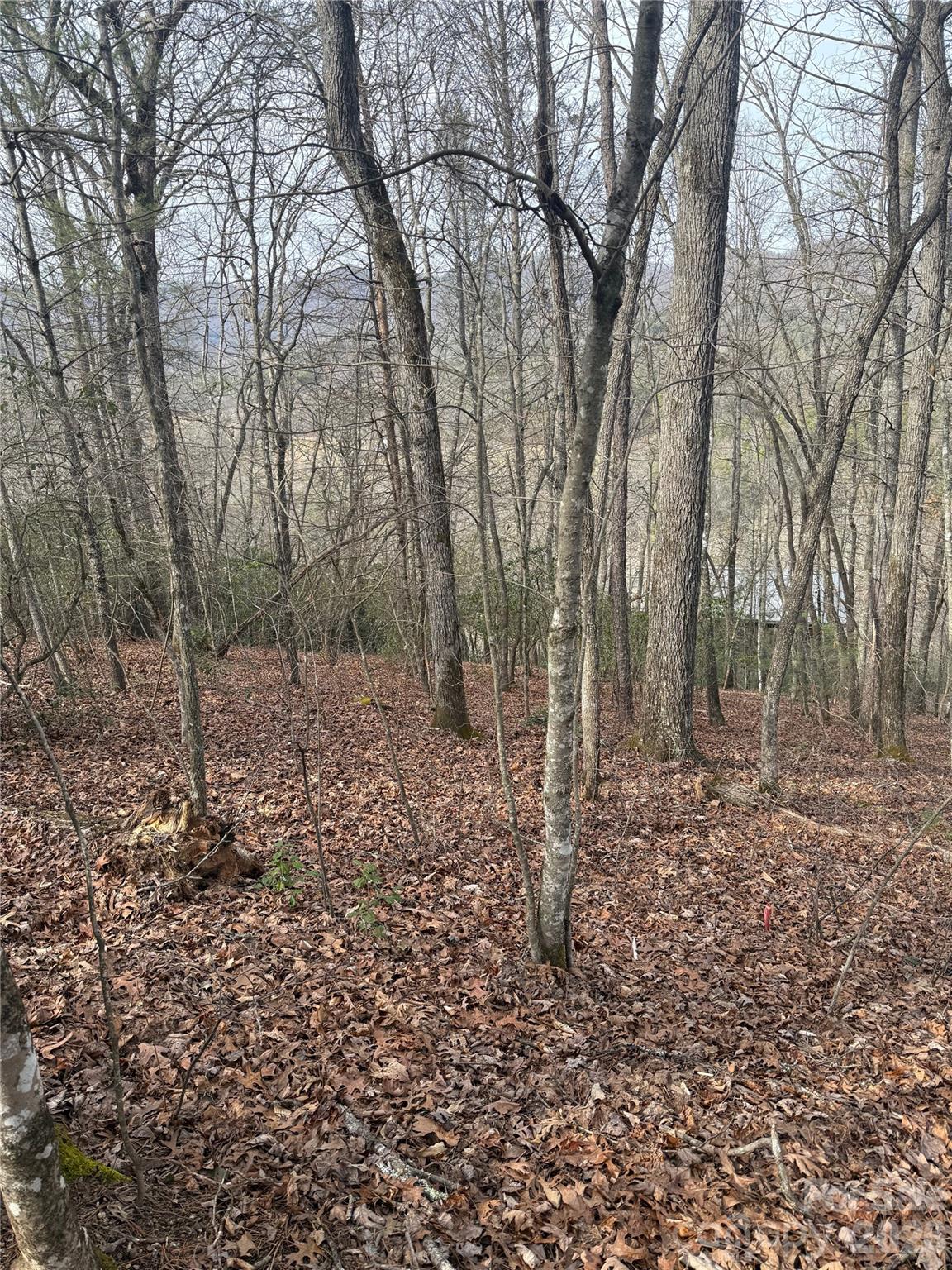 Lot 10, 11 River Run Franklin NC 28734