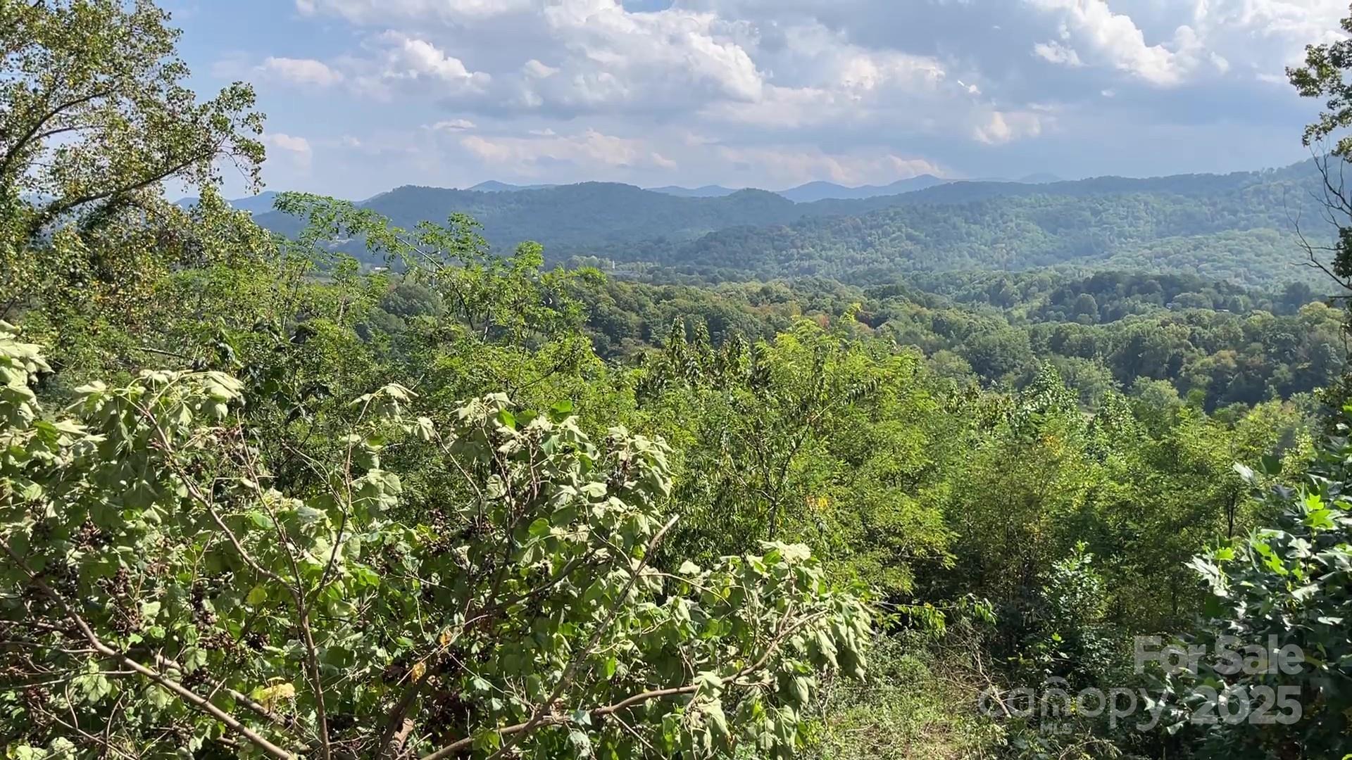 4 Summit View Drive Canton NC 28716
