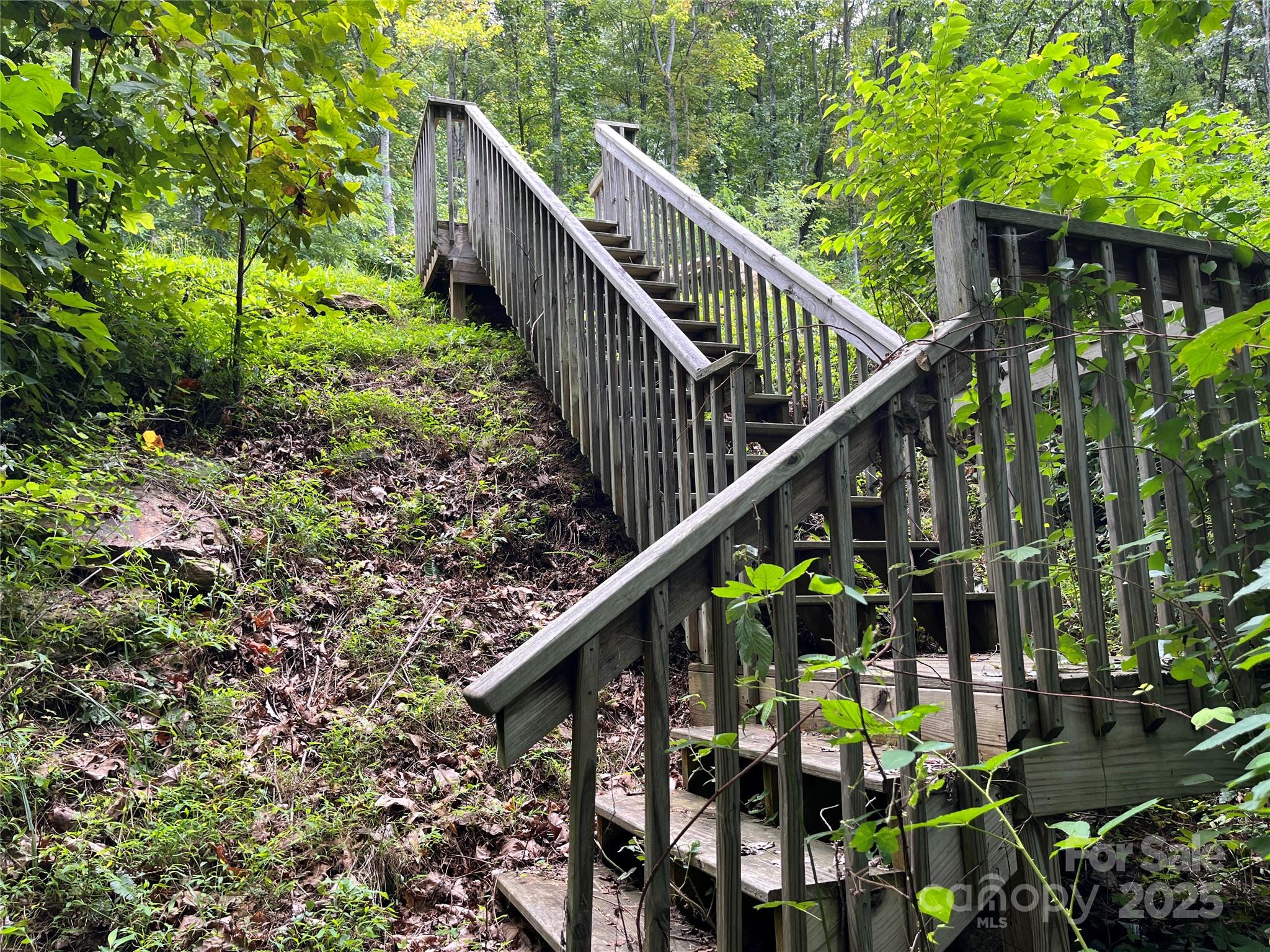 4 Summit View Drive Canton NC 28716