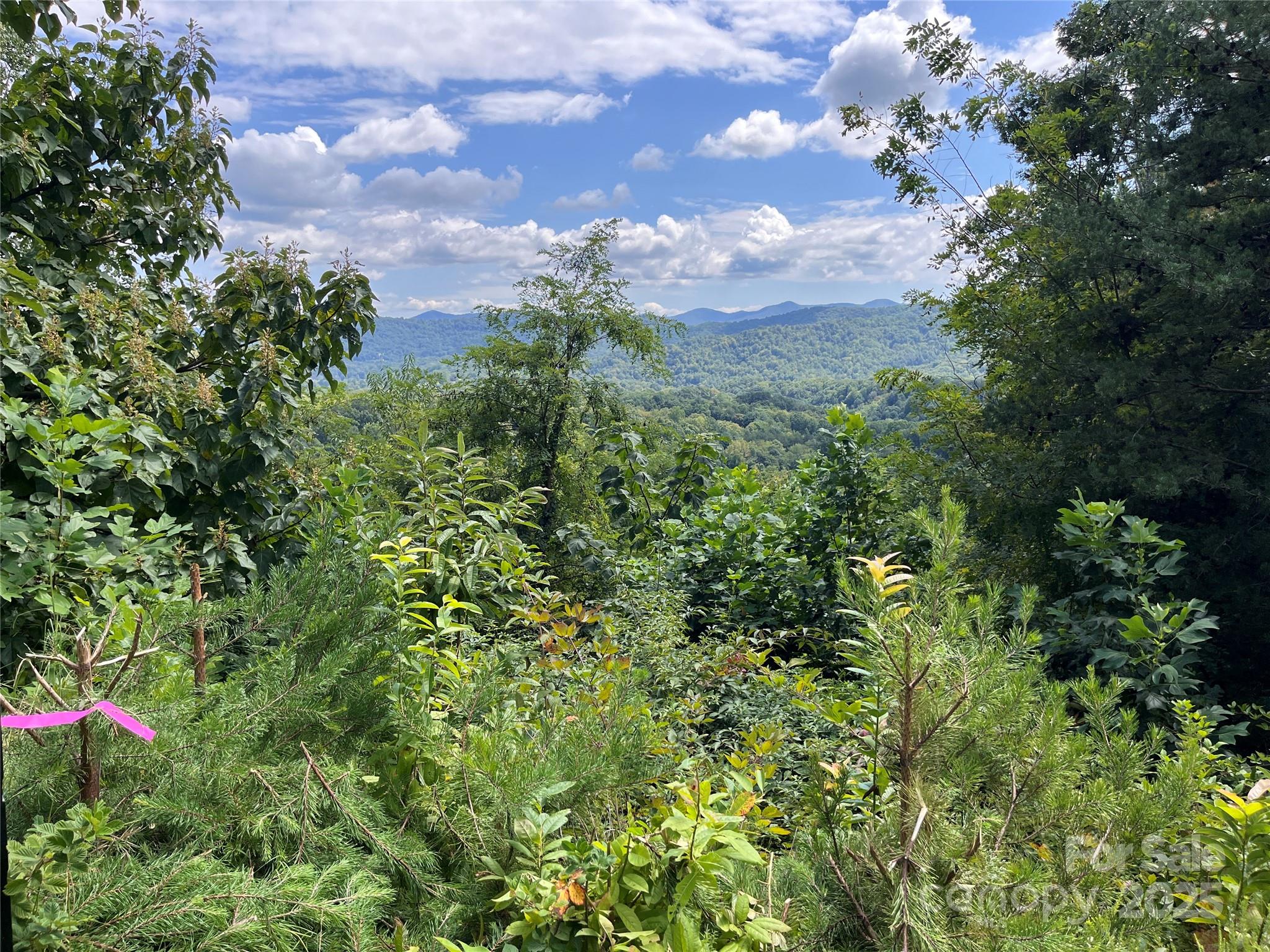 4 Summit View Drive Canton NC 28716