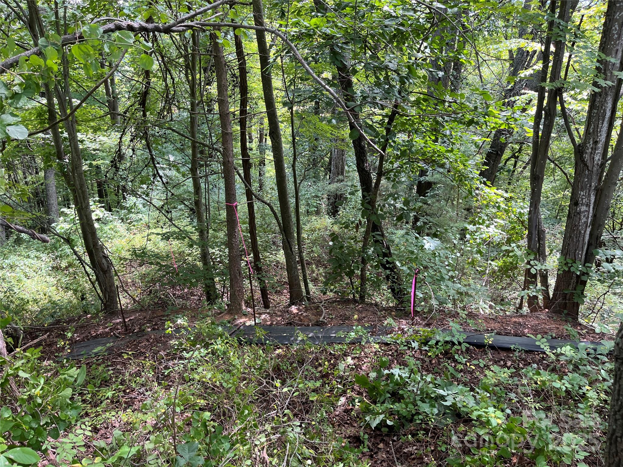 4 Summit View Drive Canton NC 28716