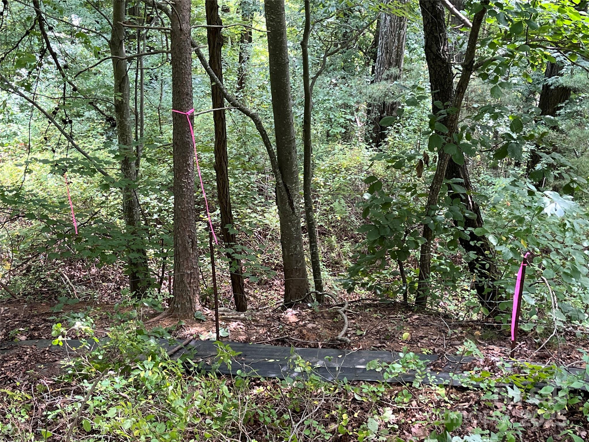 4 Summit View Drive Canton NC 28716