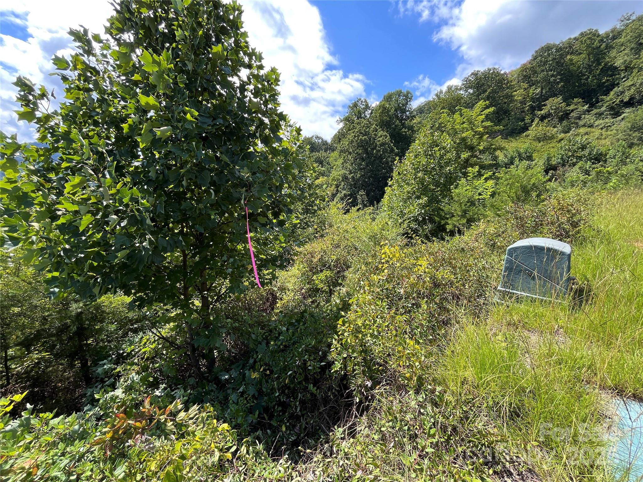 4 Summit View Drive Canton NC 28716