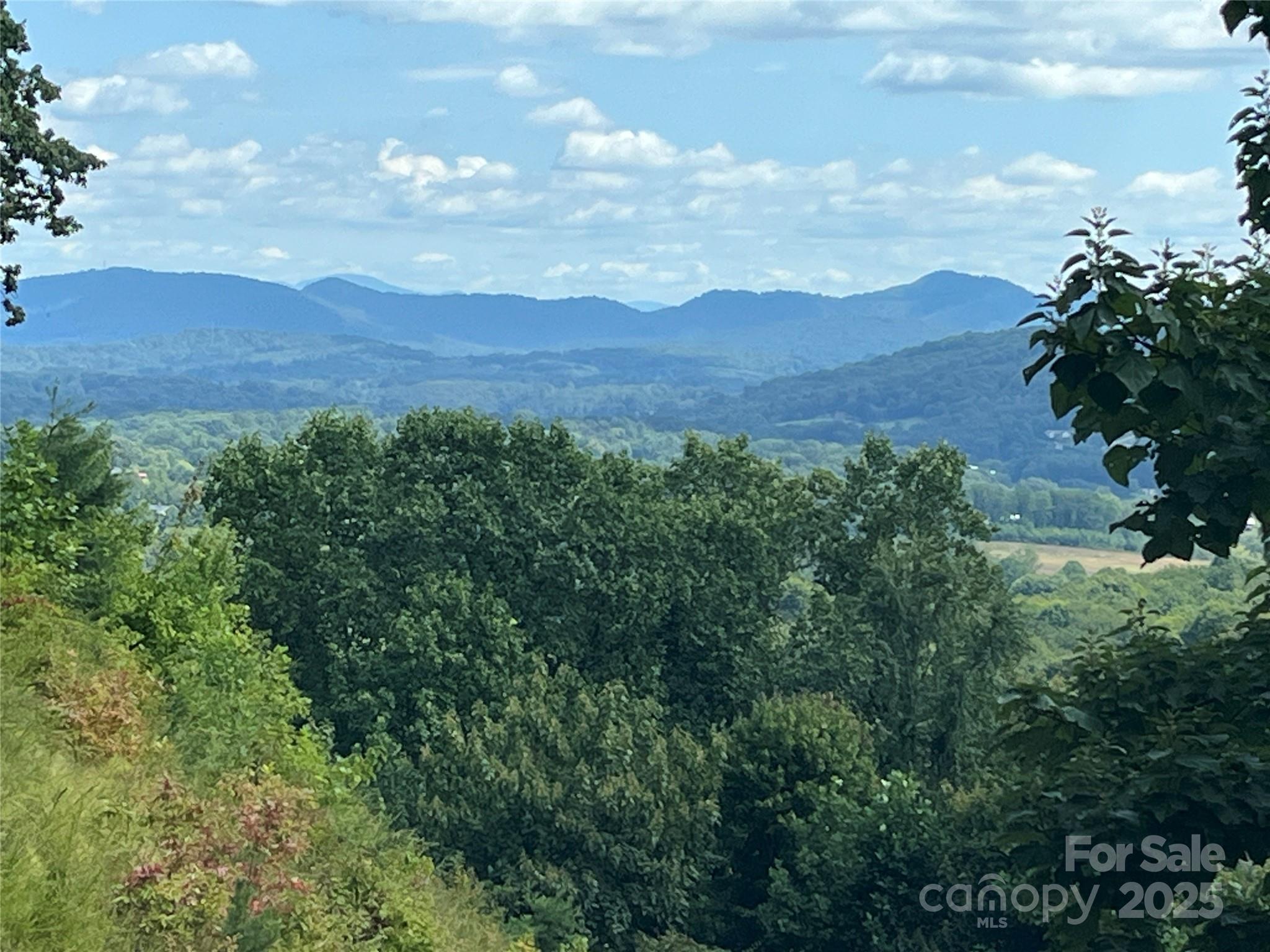 4 Summit View Drive Canton NC 28716