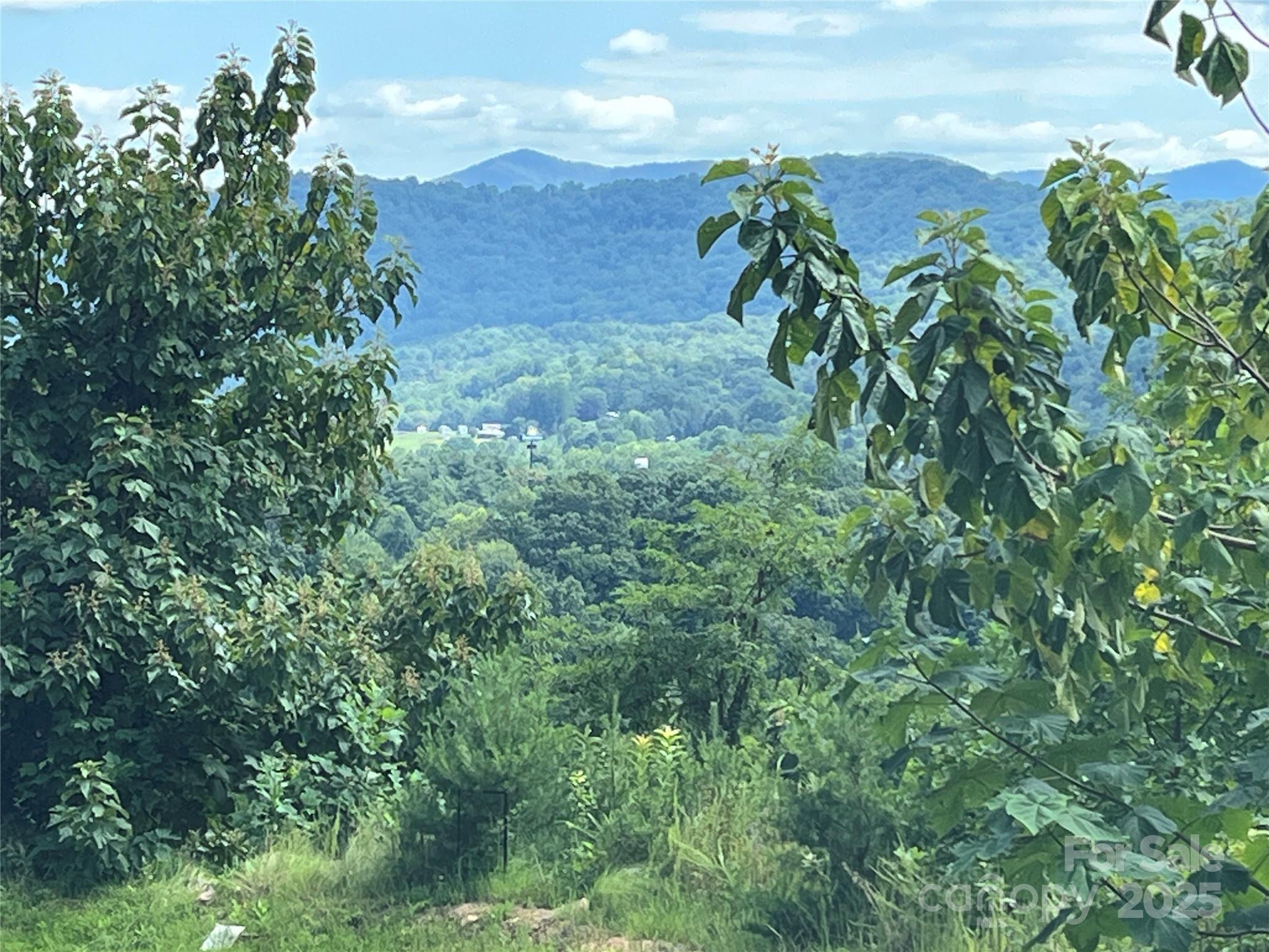 4 Summit View Drive Canton NC 28716