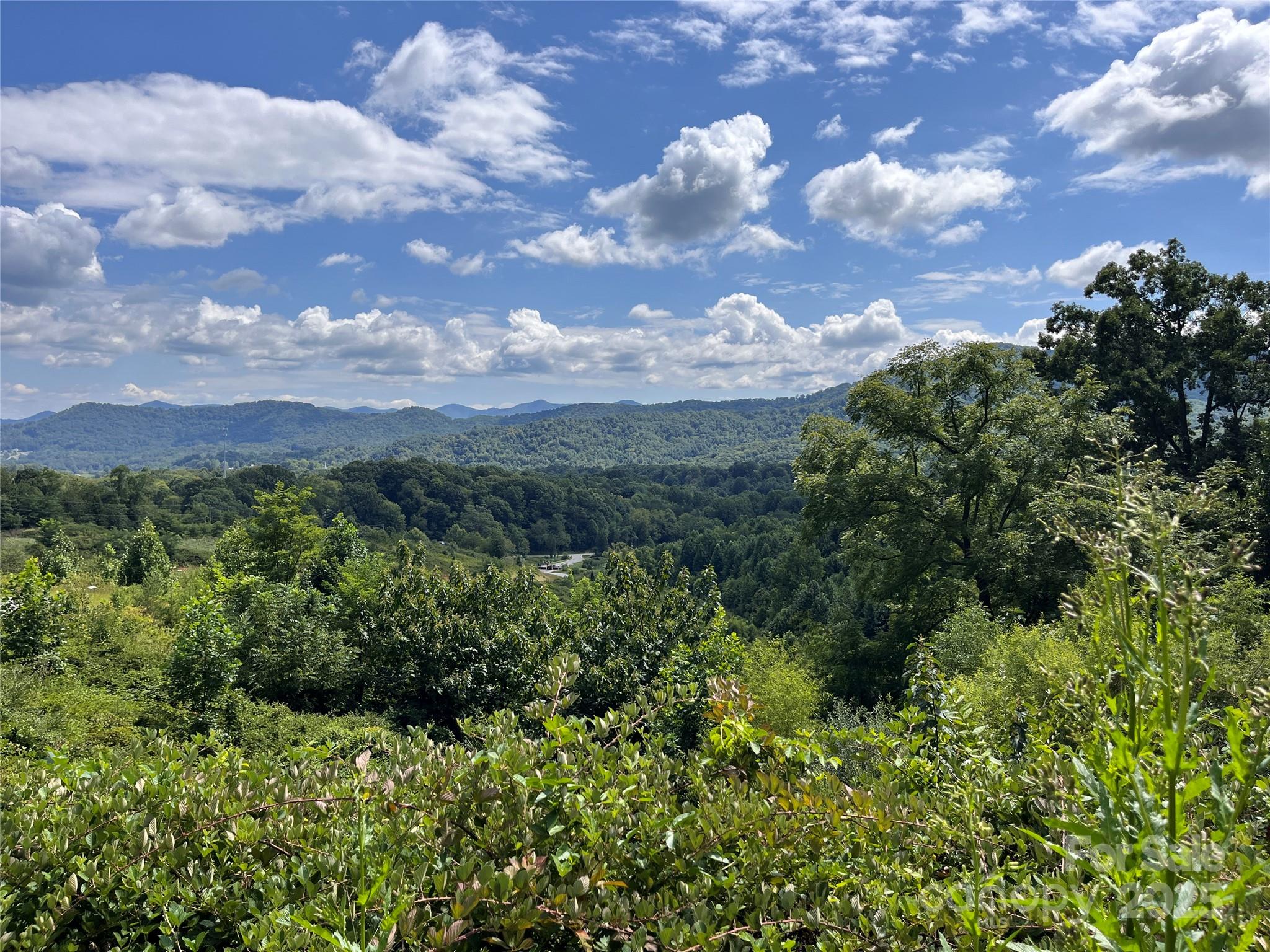 4 Summit View Drive Canton NC 28716