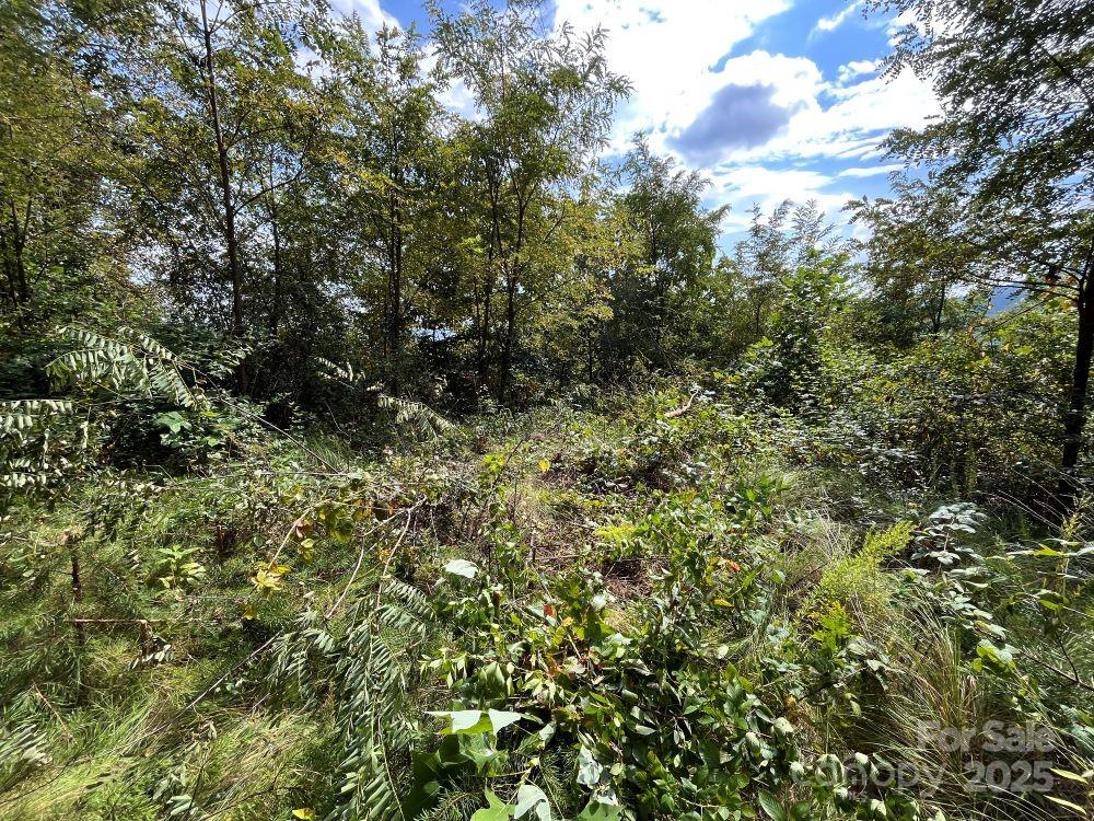 4 Summit View Drive Canton NC 28716