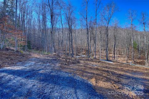 00 Shadowood Drive Spruce Pine NC 28777
