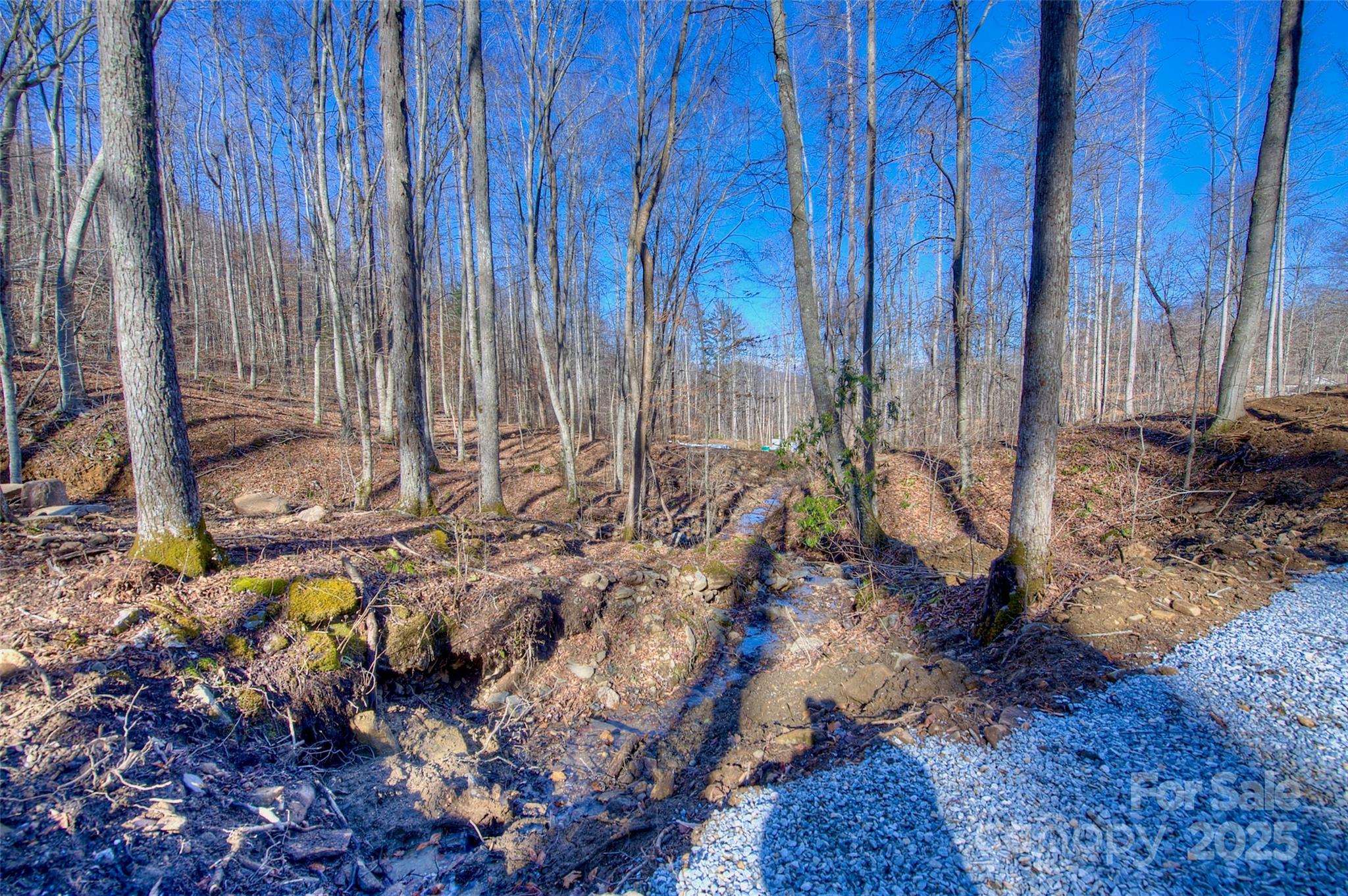 00 Shadowood Drive Spruce Pine NC 28777