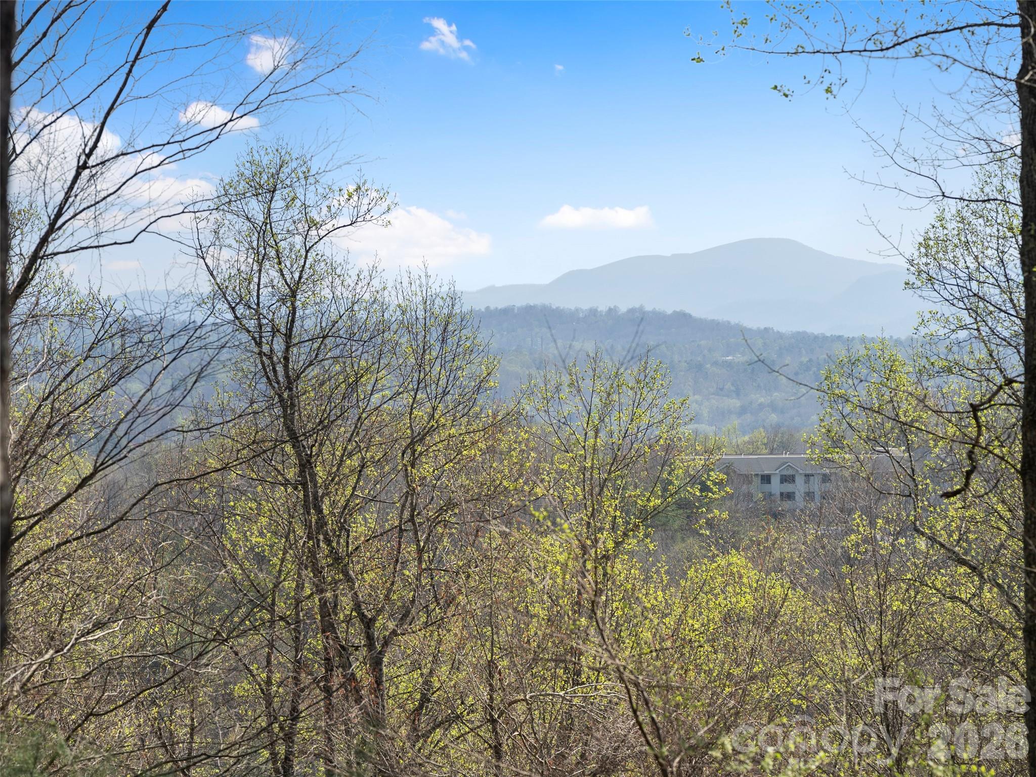 44 Ridge Pine Trail Arden NC 28704