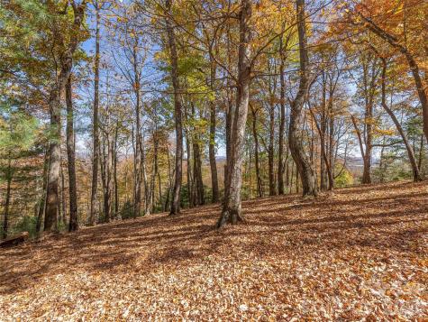 44 Ridge Pine Trail Arden NC 28704
