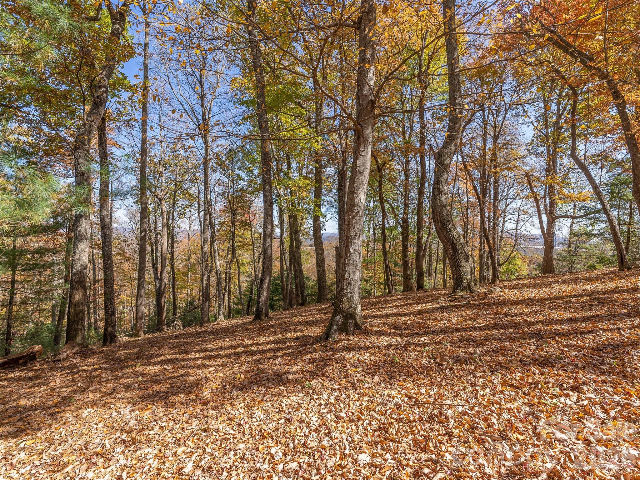 44 Ridge Pine Trail Arden NC 28704