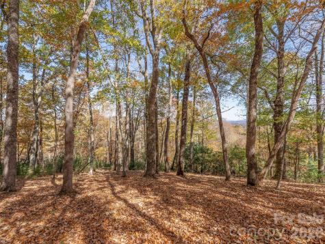 44 Ridge Pine Trail Arden NC 28704