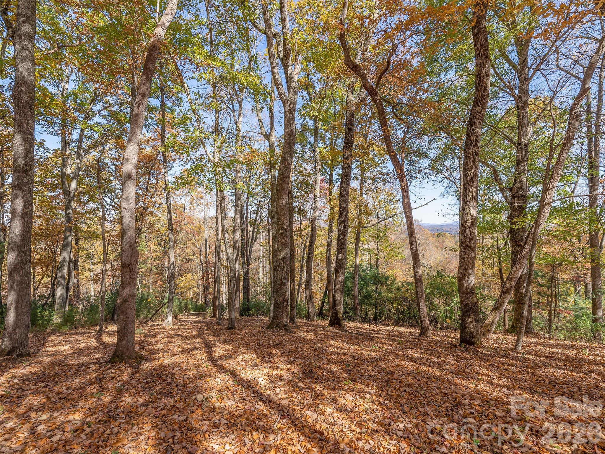 44 Ridge Pine Trail Arden NC 28704