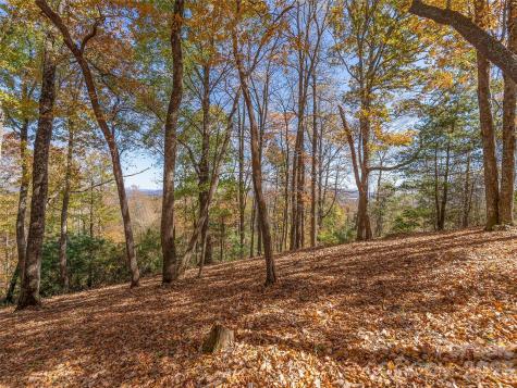 44 Ridge Pine Trail Arden NC 28704
