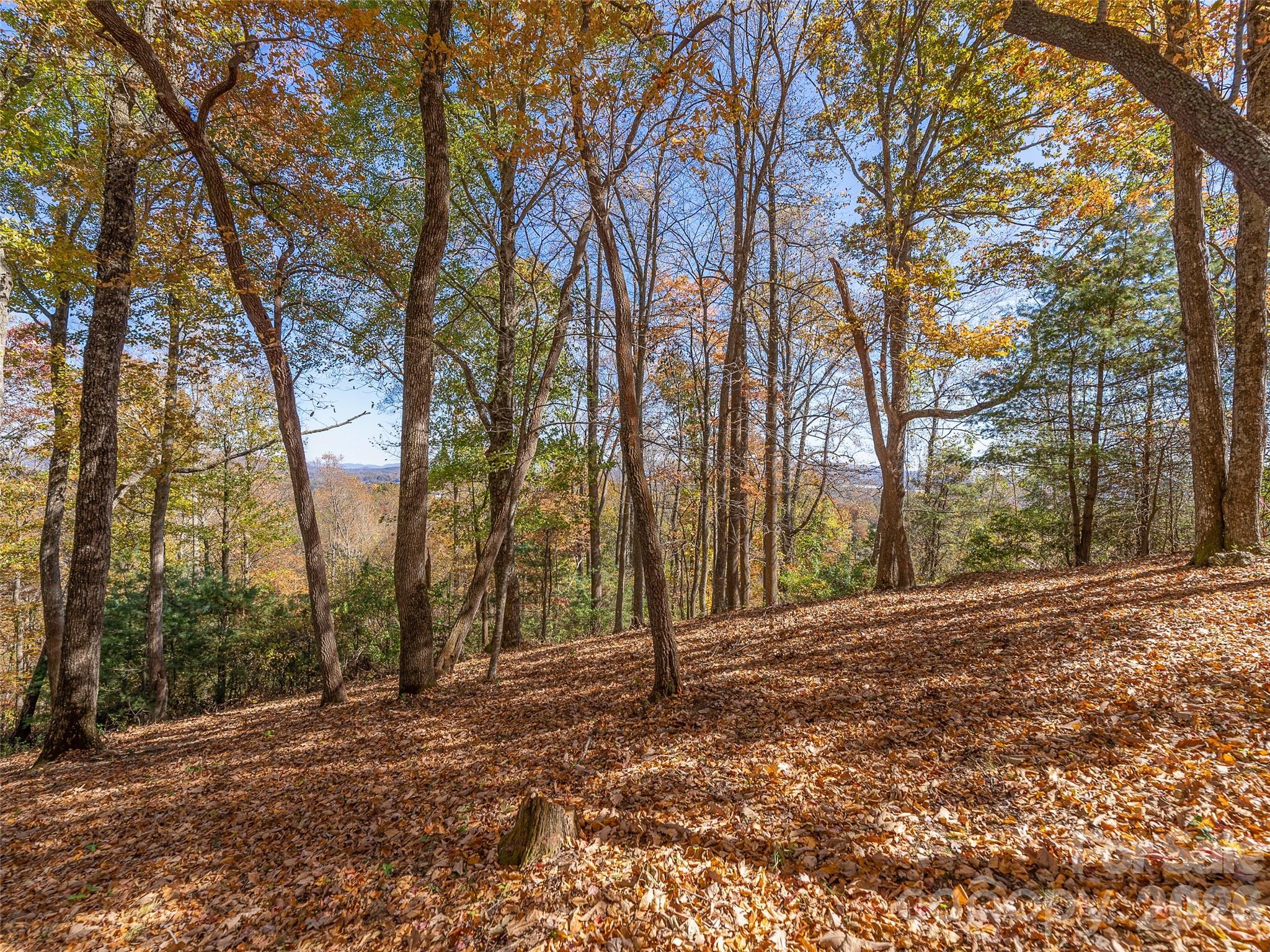 44 Ridge Pine Trail Arden NC 28704