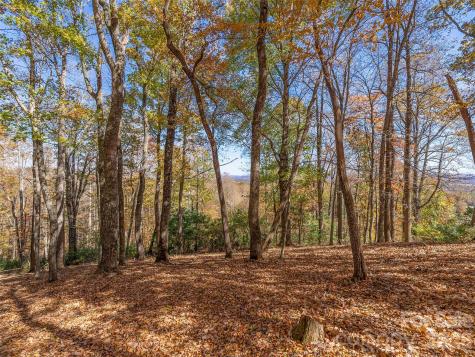 44 Ridge Pine Trail Arden NC 28704
