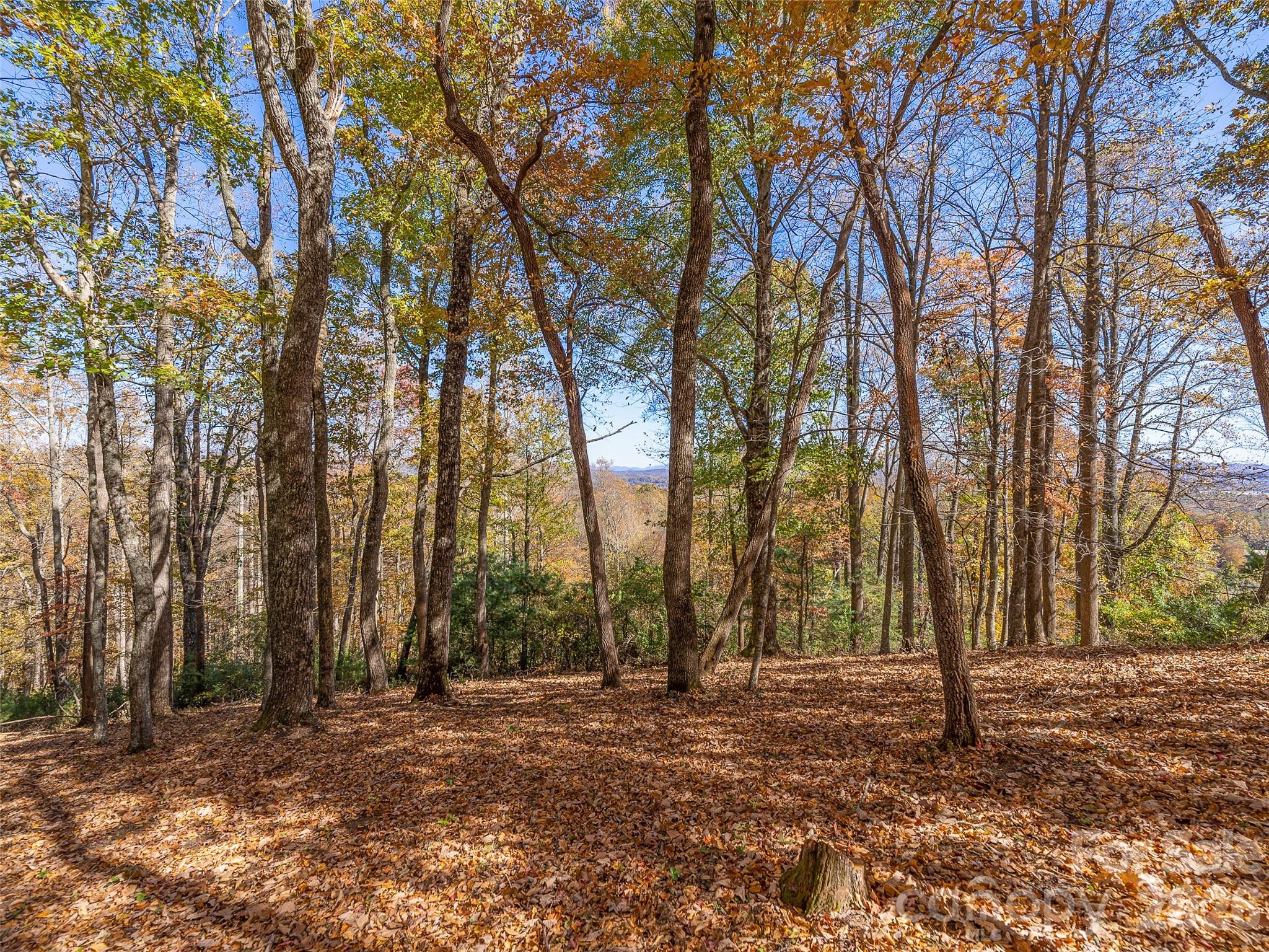 44 Ridge Pine Trail Arden NC 28704