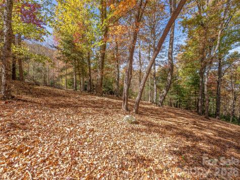 44 Ridge Pine Trail Arden NC 28704