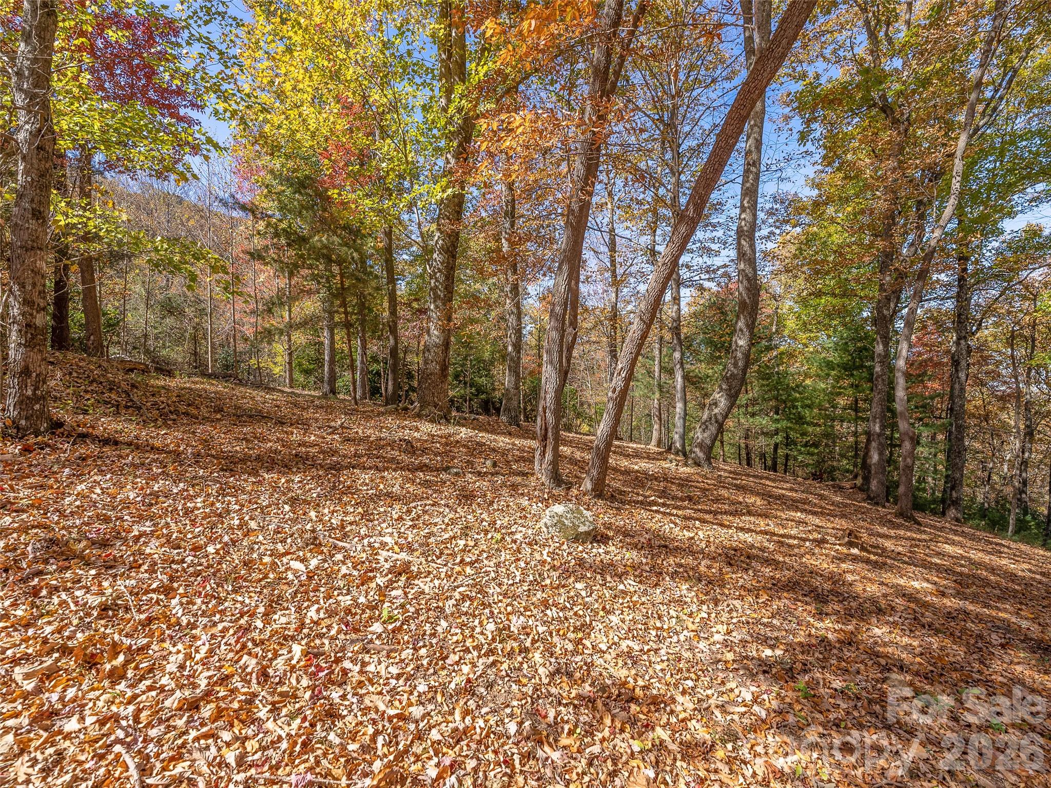 44 Ridge Pine Trail Arden NC 28704