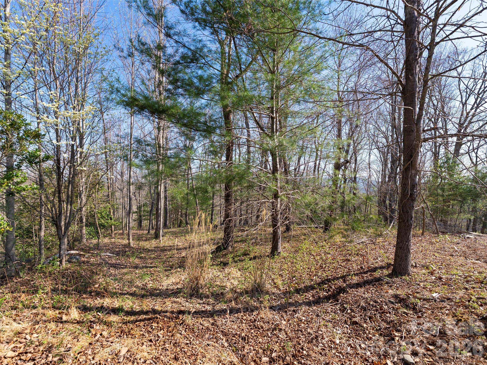 44 Ridge Pine Trail Arden NC 28704
