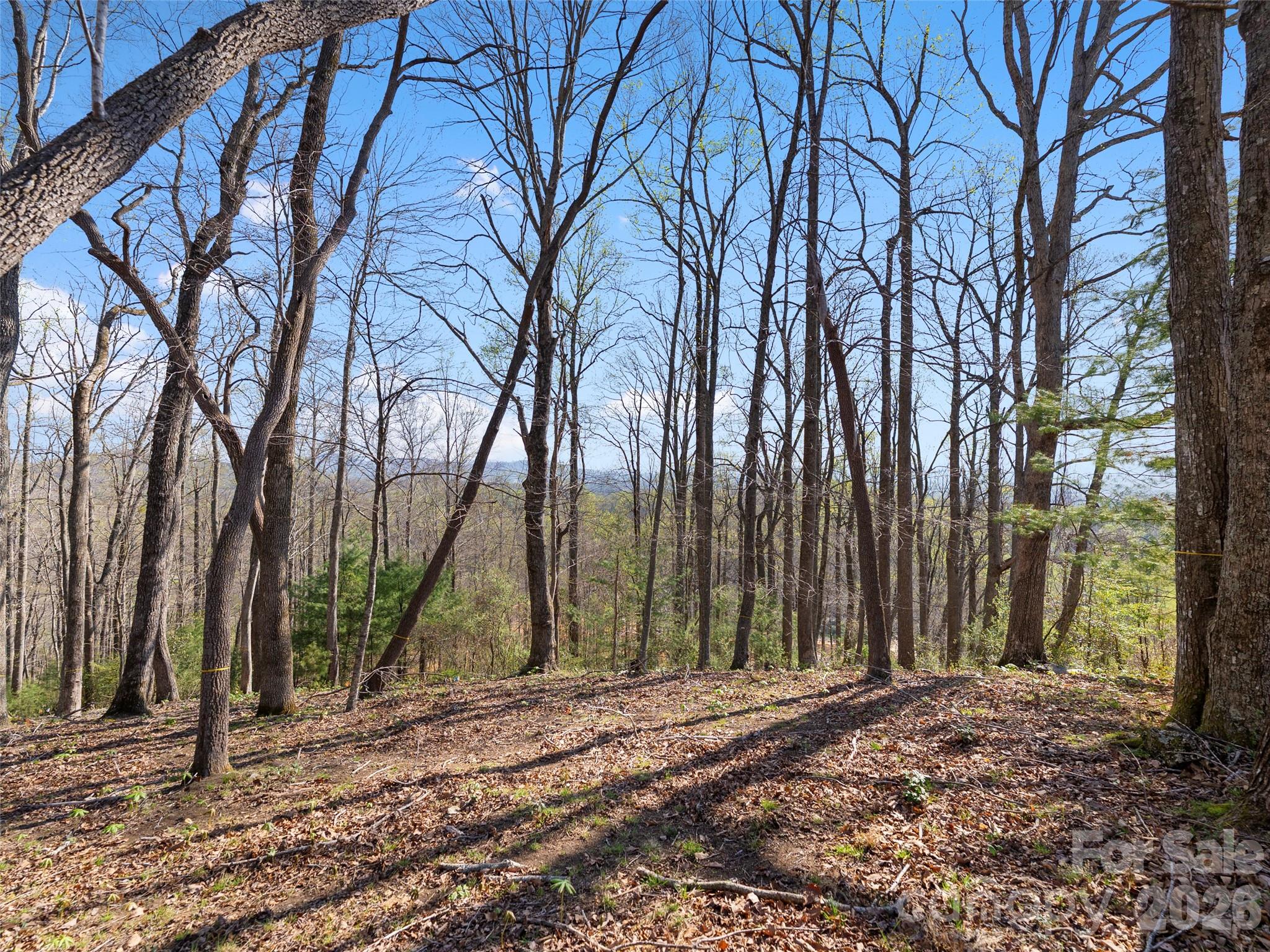44 Ridge Pine Trail Arden NC 28704