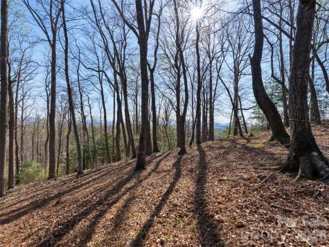 44 Ridge Pine Trail Arden NC 28704