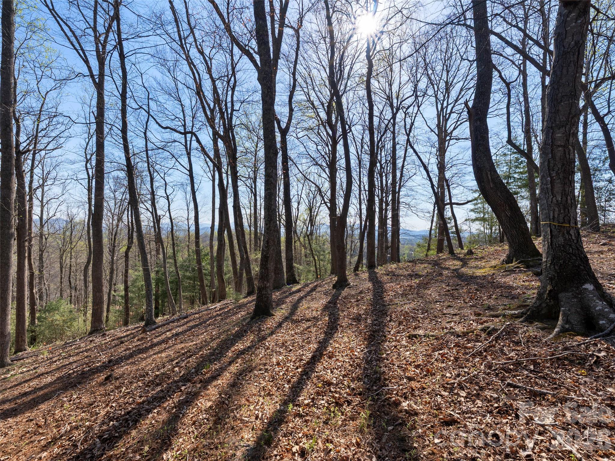 44 Ridge Pine Trail Arden NC 28704