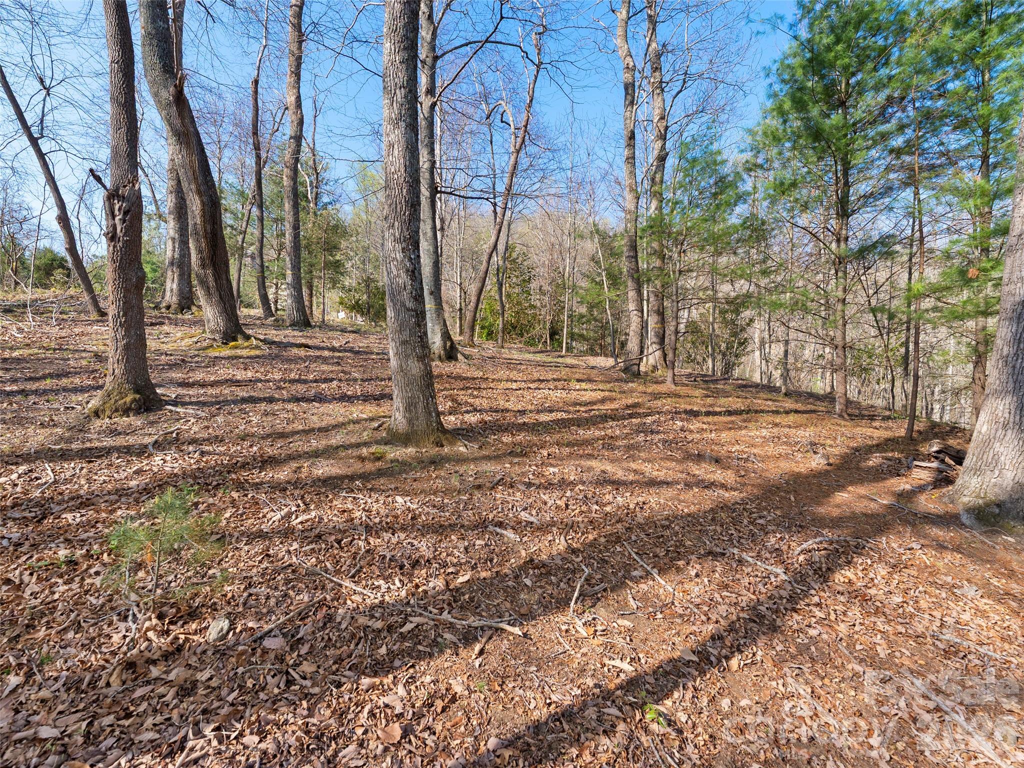 44 Ridge Pine Trail Arden NC 28704