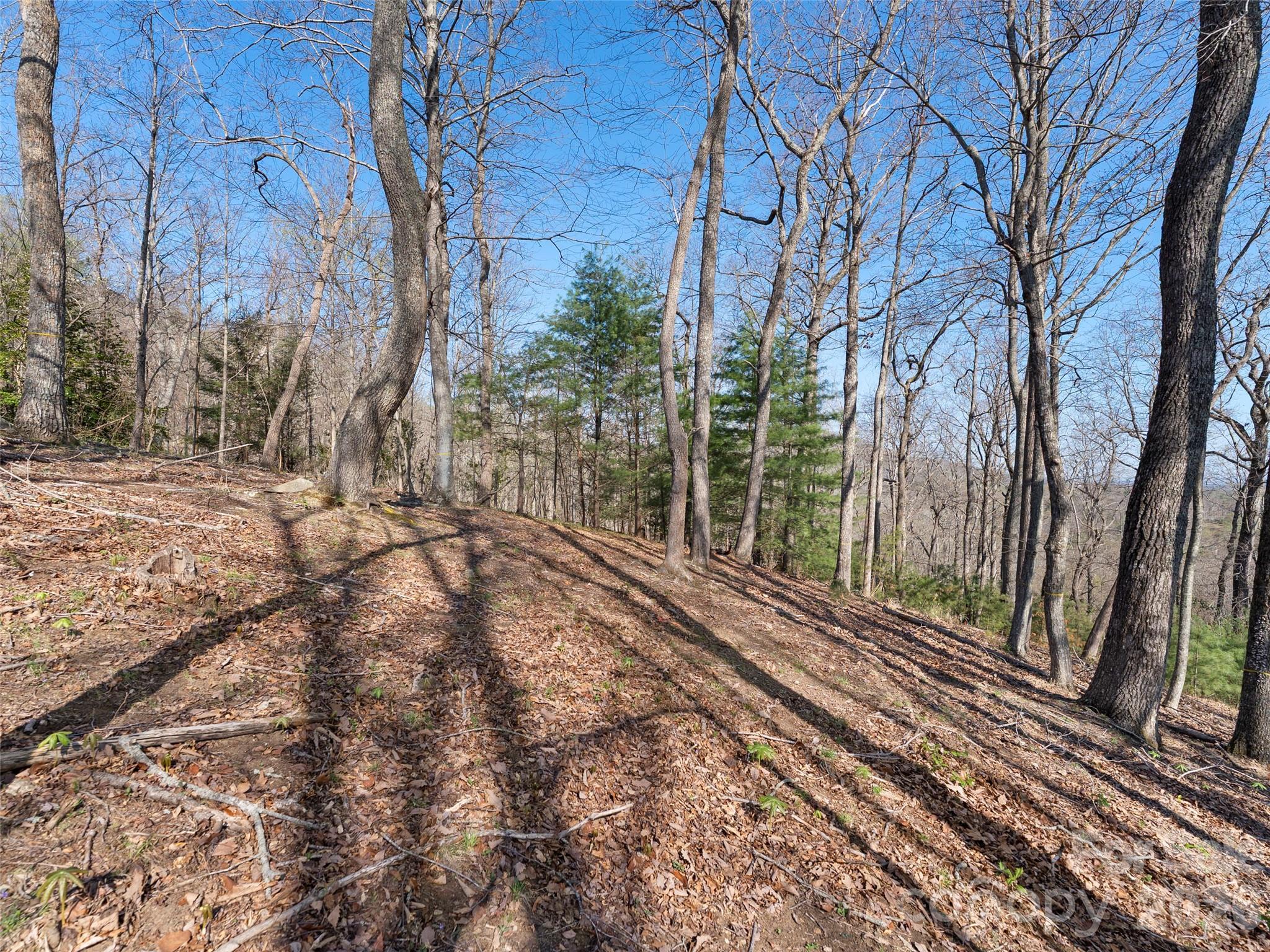 44 Ridge Pine Trail Arden NC 28704
